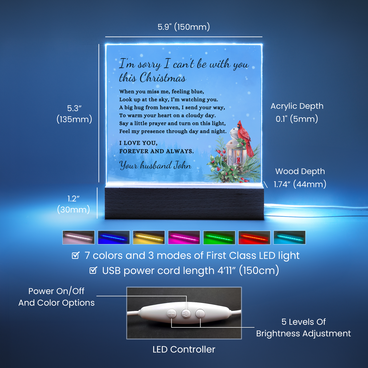 Christmas Cardinal Sympathy Gift, Blue Condolence LED Lighted Memorial Poem on Acrylic Plaque