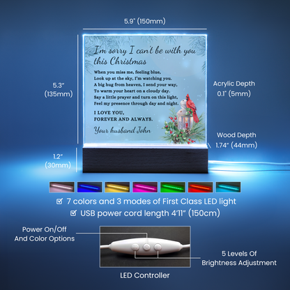 Christmas Cardinal Custom Sympathy Gift, Condolence LED Light Personalized Memorial Poem on Acrylic Plaque