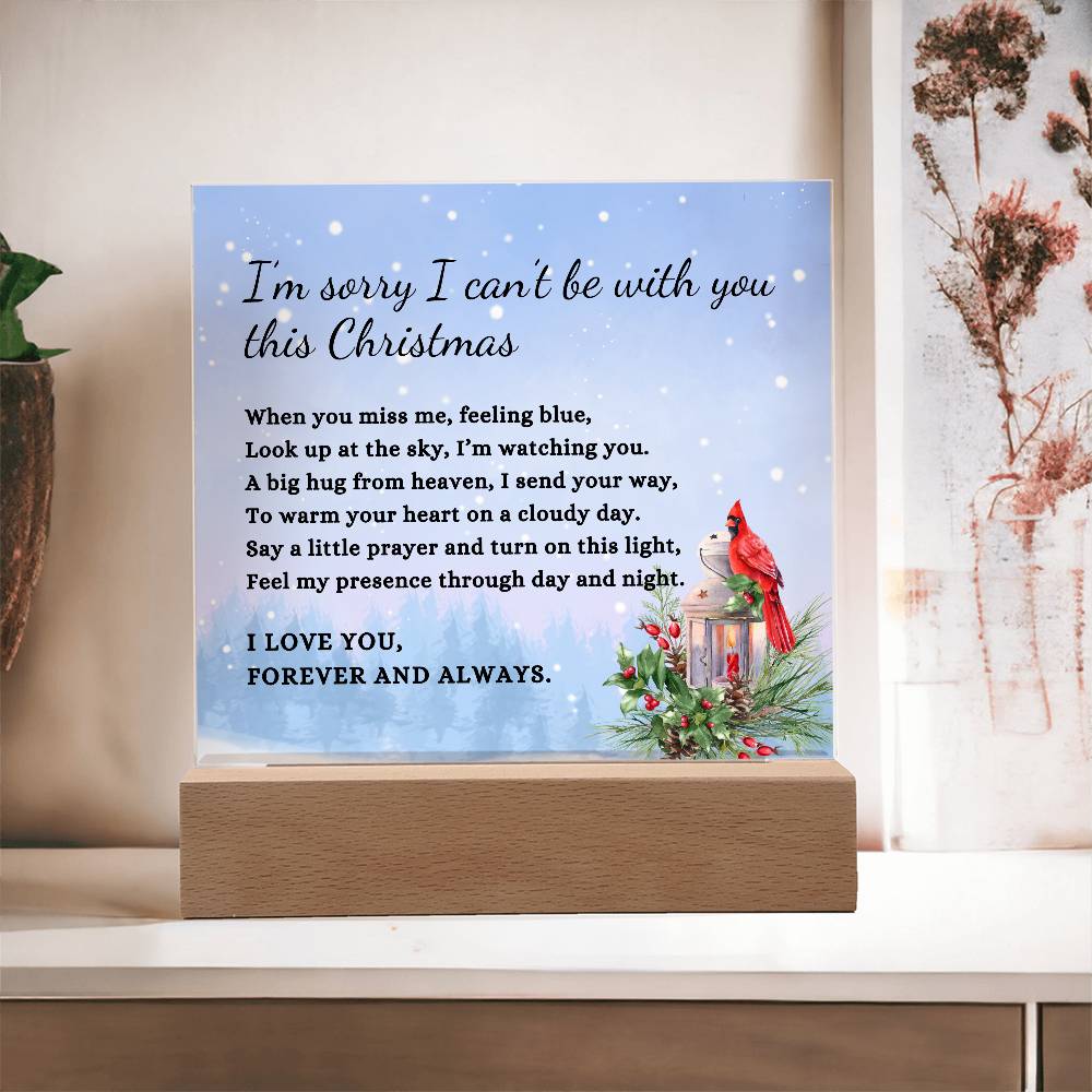 Christmas Cardinal Sympathy Gift, Blue Condolence LED Lighted Memorial Poem on Acrylic Plaque