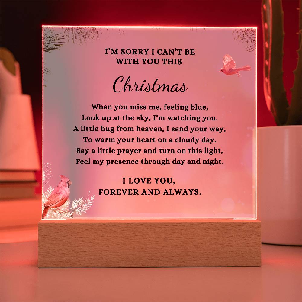 Two Cardinals Christmas Sympathy Gift, Condolence LED Lighted Memorial Poem on Acrylic Plaque